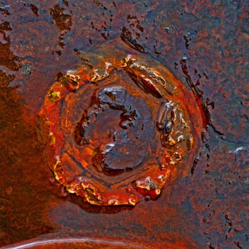 R. van Bronswijk's Microworlds of Rust